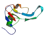 N-Terminal Asparagine Amidase (NTAN1)