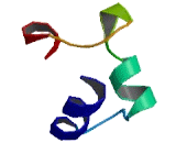 N-Terminal EF-Hand Calcium Binding Protein 1 (NECAB1)