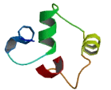 N-Terminal EF-Hand Calcium Binding Protein 2 (NECAB2)