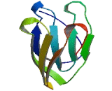 NACHT And WD Repeat Domain Containing Protein 1 (NWD1)