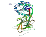 NAD Kinase Domain Containing Protein 1 (NADKD1)