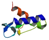 NAD Synthetase 1 (NADSYN1)