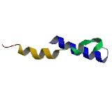 NADH Dehydrogenase 3 (ND3)