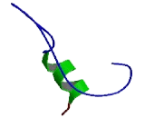 NADH Dehydrogenase 4L (ND4L)