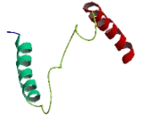 NADH Dehydrogenase 6 (ND6)