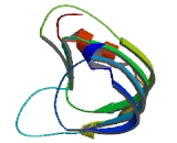 NADH Dehydrogenase Ubiquinone 1 Alpha Subcomplex 12 (NDUFa12)