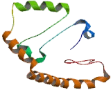 NADH Dehydrogenase Ubiquinone 1 Alpha Subcomplex 13 (NDUFa13)