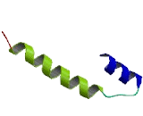 NADH Dehydrogenase Ubiquinone 1 Alpha Subcomplex 3 (NDUFa3)