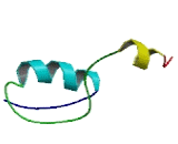 NADH Dehydrogenase Ubiquinone 1 Alpha Subcomplex 4 Like Protein 2 (NDUFa4L2)