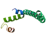 NADH Dehydrogenase Ubiquinone 1 Alpha Subcomplex 5 (NDUFa5)