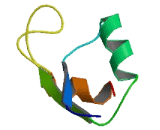 NADH Dehydrogenase Ubiquinone 1 Alpha Subcomplex 7 (NDUFa7)