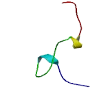 NADH Dehydrogenase Ubiquinone 1 Alpha Subcomplex 8 (NDUFa8)