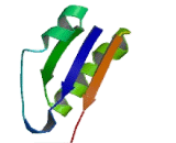 NADH Dehydrogenase Ubiquinone 1 Alpha Subcomplex Assembly Factor 3 (NDUFaF3)