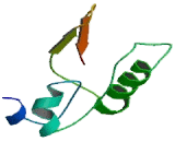 NADH Dehydrogenase Ubiquinone 1 Alpha Subcomplex Assembly Factor 4 (NDUFaF4)