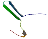 NADH Dehydrogenase Ubiquinone 1 Beta Subcomplex 2 (NDUFb2)