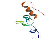 NADH Dehydrogenase Ubiquinone 1 Beta Subcomplex 3 (NDUFb3)