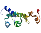 NADH Dehydrogenase Ubiquinone 1 Beta Subcomplex 4 (NDUFb4)