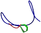 NADH Dehydrogenase Ubiquinone 1 Beta Subcomplex 5 (NDUFb5)