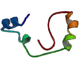 NADH Dehydrogenase Ubiquinone 1 Beta Subcomplex 6 (NDUFb6)