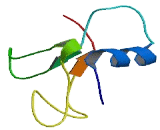 NADH Dehydrogenase Ubiquinone 1 Subcomplex 1 (NDUFC1)