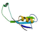 NADH Dehydrogenase Ubiquinone Fe-S Protein 4 (NDUFS4)