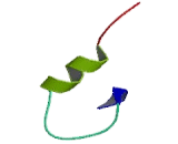 NADH Dehydrogenase Ubiquinone Fe-S Protein 5 (NDUFS5)