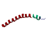 NADH Dehydrogenase Ubiquinone Flavoprotein 3 (NDUFV3)