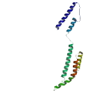 NANOG Neighbor Homeobox Protein (NANOGNB)