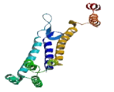 NCK Associated Protein 5 (NCKAP5)