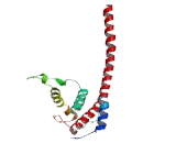 NDC80 Kinetochore Complex Component Homolog (NUF2)