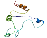 NEDD4 Binding Protein 1 (N4BP1)