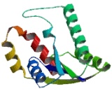 NEDD4 Binding Protein 2 Like Protein 1 (N4BP2L1)