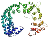 NEDD4 Binding Protein 2 Like Protein 2 (N4BP2L2)