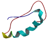 NFKB Inhibitor Interacting Ras Like Protein 2 (NKIRAS2)