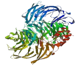 NFX1-Type Zinc Finger Containing Protein 1 (ZNFX1)