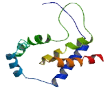 NGFI-A Binding Protein 2 (NAB2)