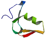 NHL Repeat Containing Protein 1 (NHLRC1)