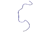 NHS Like Protein 1 (NHSL1)