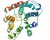 NIPA Like Domain Containing Protein 1 (NIPAL1)