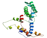 NIPA Like Domain Containing Protein 3 (NIPAL3)