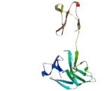 NODAL Modulator 1 (NOMO1)