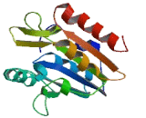 NOP2/Sun Domain Family, Member 6 (NSUN6)