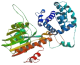 NOP2/Sun Domain Family, Member 7 (NSUN7)