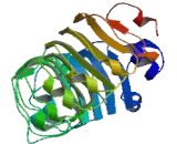 NTPase, KAP Family P-Loop Domain Containing Protein 1 (NKPD1)