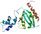 NYN Domain And Retroviral Integrase Containing Protein (NYNRIN)