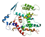 Na+/H+ Exchanger Domain Containing Protein 1 (NHEDC1)