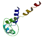 Na+/K+ Transporting ATPase Interacting Protein 4 (NKAIN4)