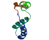 Na+ Taurocholate Cotransporting Polypeptide (NTCP)