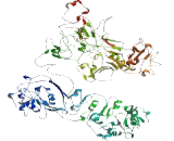 Nance Horan Syndrome Protein (NHS)