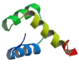 NANOG Homeobox Protein (NANOG)